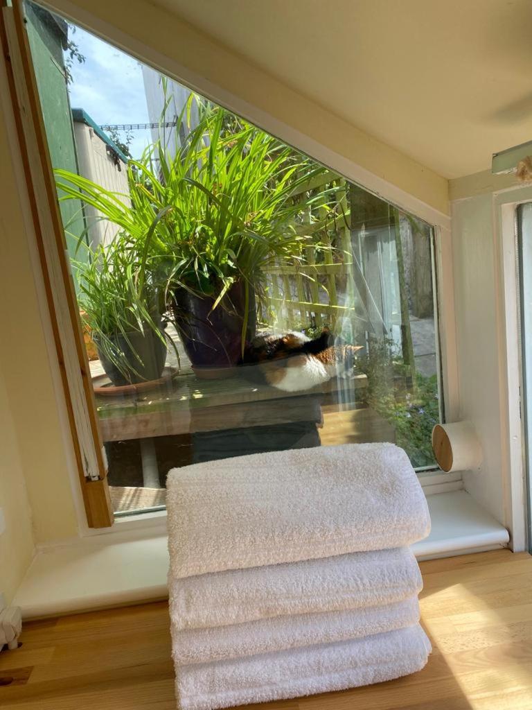 Lyme Clifftop Hideaway Лайм Риджис Екстериор снимка